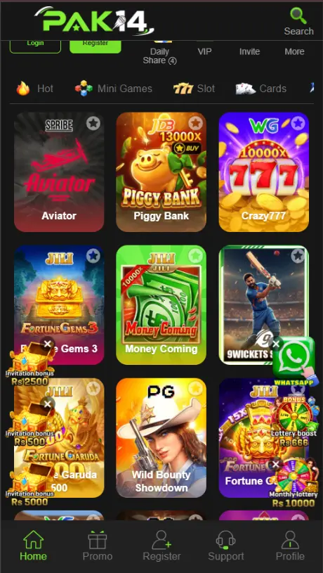 Pak14 Game Overview (1)